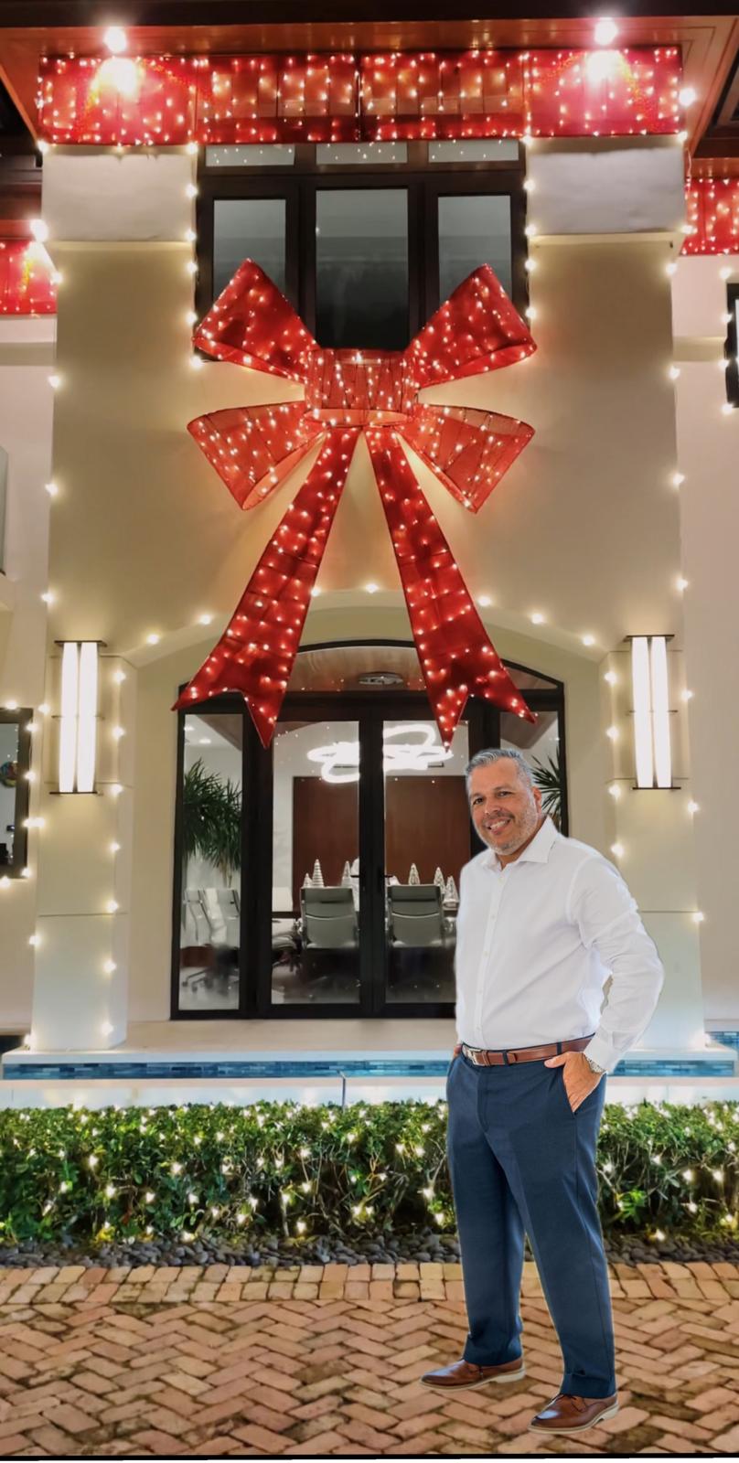 About XMAS LIGHTS PRO